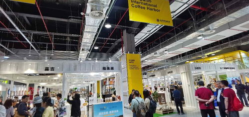 高质量发展调研行丨黑科技产品大秀场与进博会溢出效应下的房地产开发经营新机遇